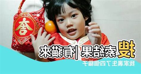 貓來家裡生孩子 風水